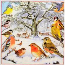 Serwetka decoupage firmy AMBIENTE ptaszki i jelonki 33x33cm